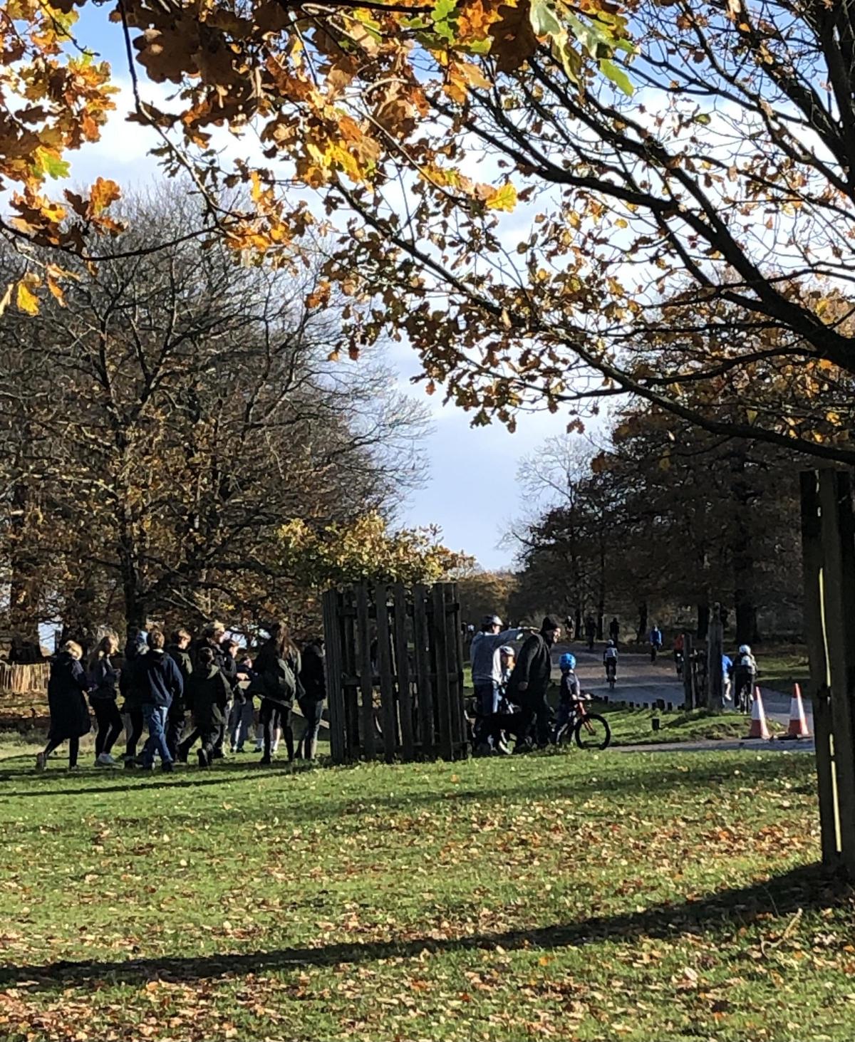 Lockdown Restrictions Cause Rush To Richmond Park This Is Local London