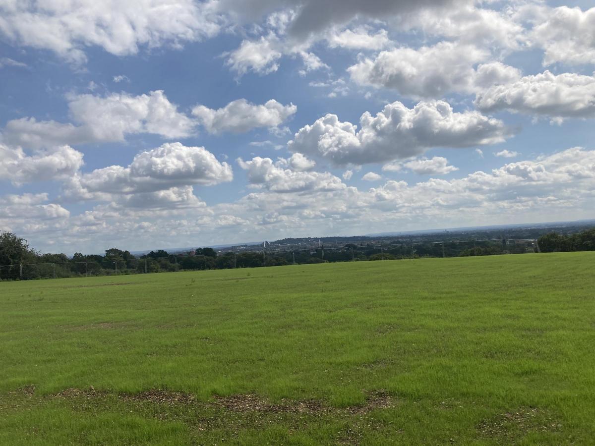 The view from Harrow Viewpoint (Photo: Adam Shaw / LDR)