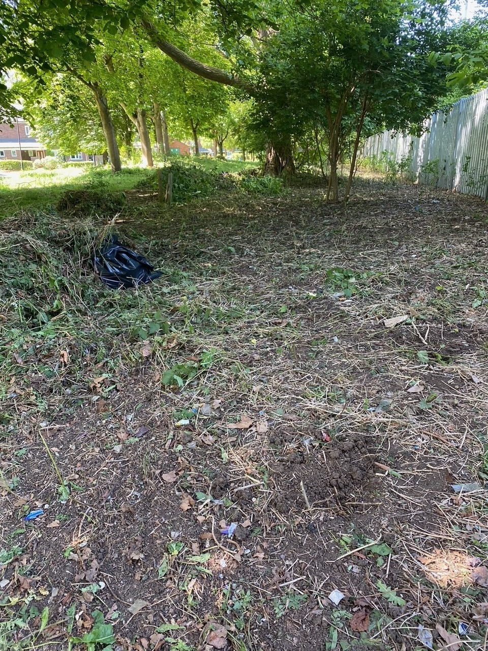 A photo of the wildflower habitat after it was cut down (Credit Jeanette Sitton)