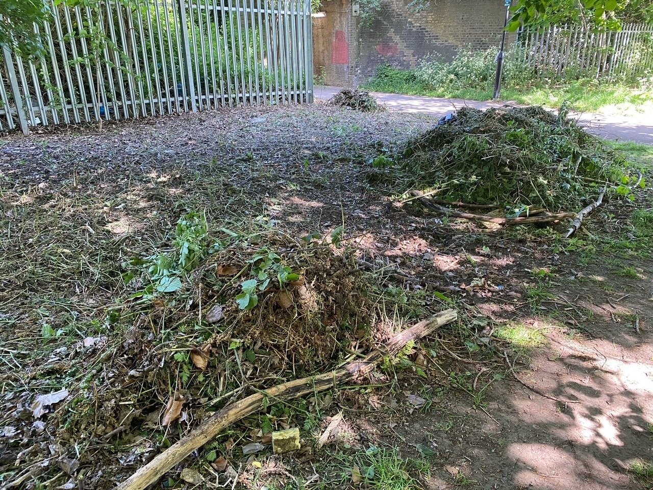 A photo of the wildflower habitat after it was cut down (Credit Jeanette Sitton)